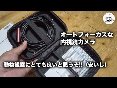オートフォーカス 内視鏡カメラ エンドスコープ