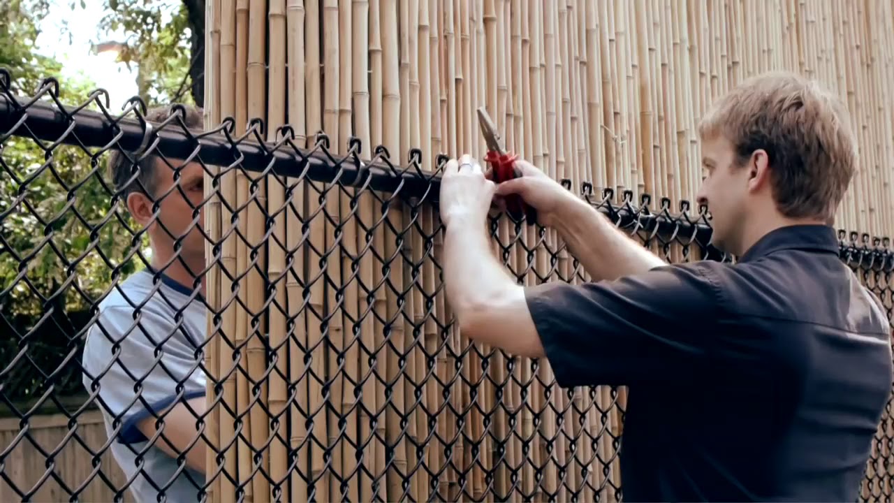 Installing a Bamboo Friendly Fence on a Chain Link Fence MAHTA FARM
