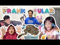 PRANK UNBOXING ULAR!‼️ LEIKA & BUNDA KETAKUTAN