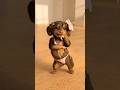 #cute #trending #fani #video