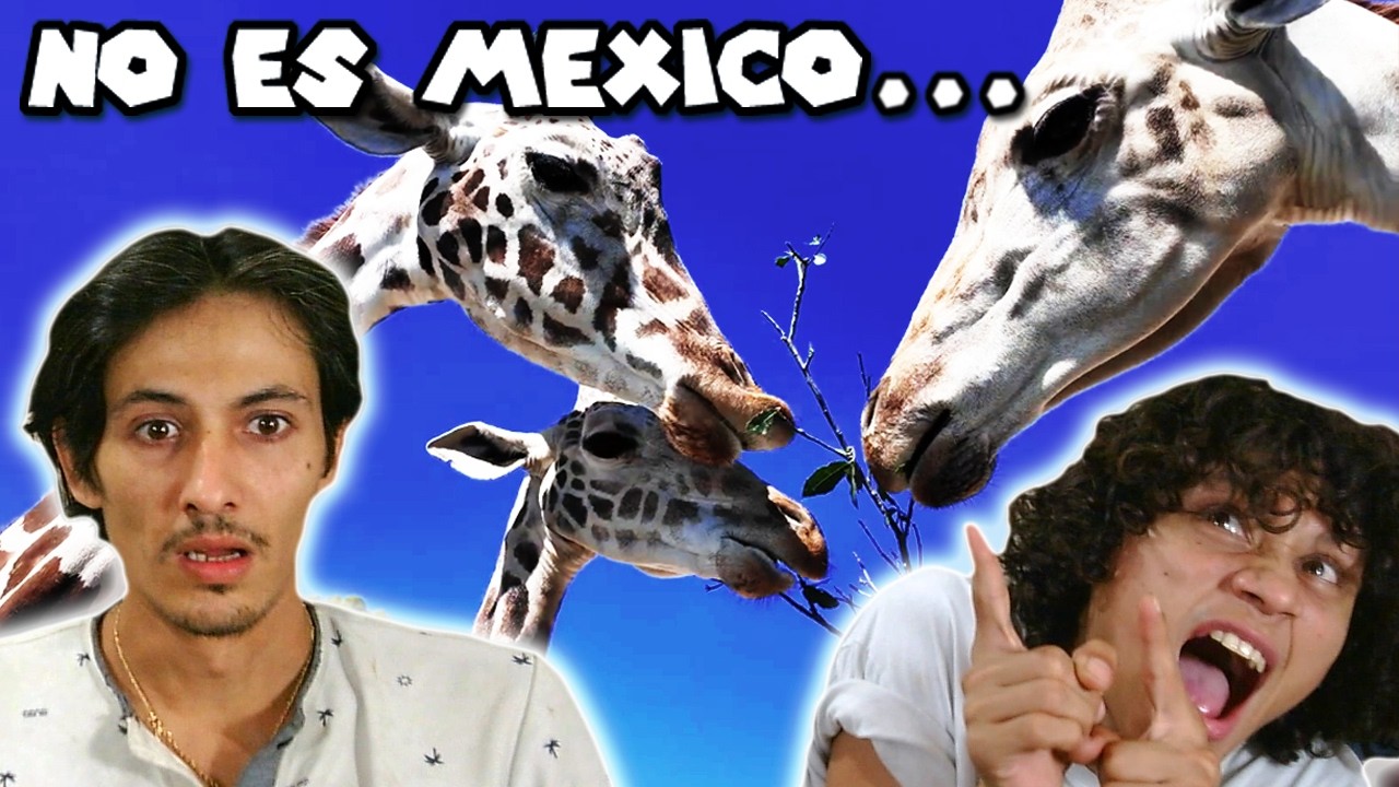 El lado salvaje de México | Mexicanos reaccionan