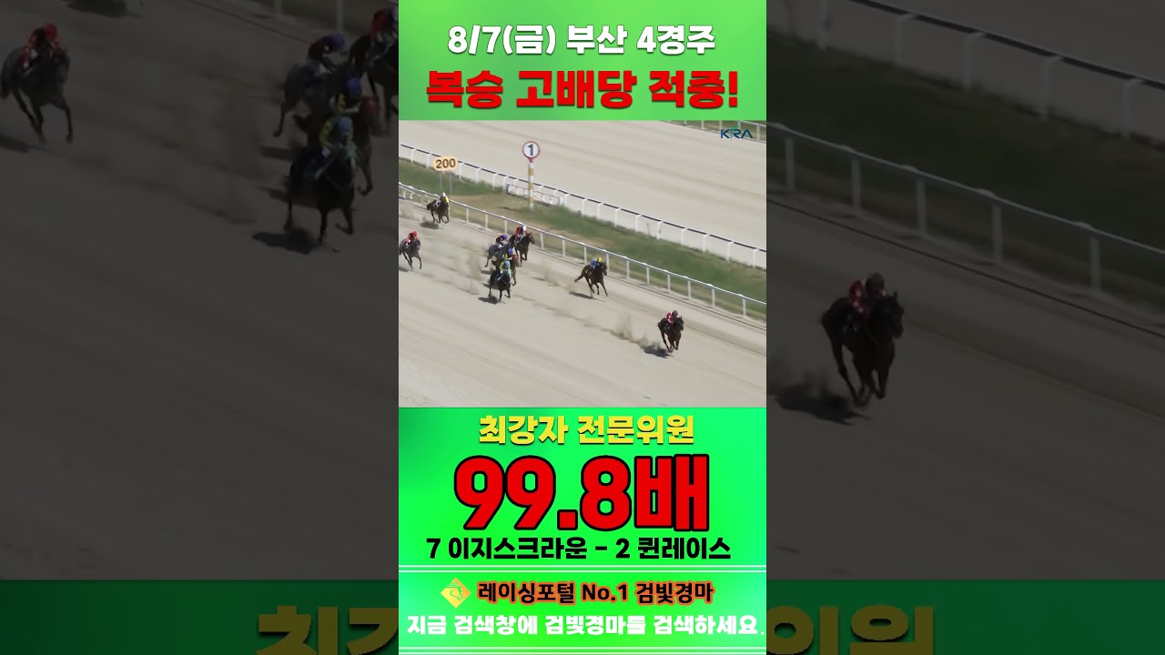 [부산 경마] 8월 7일 금요 4경주 최강자 전문위원 복승 고배당 적중 #한국마사회 #automobile #경마 #horse #하이라이트 #riding #korean #게임 #뉴스