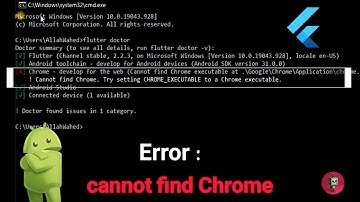Flutter Doctor |Error : Cannot Find Chrome Try Sitting by CHROME_EXECUTABLE [عربي]