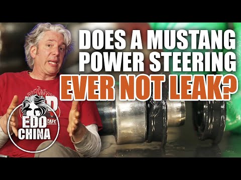 How many ways can my Mustang power steering leak?