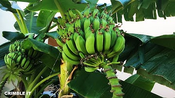 Disable Boot on Lid Open on MacBook Pro