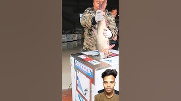 Amazing Fish Cutting Machine Demonstration #shorts #satisfying