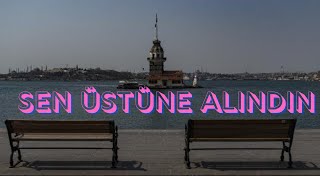 Sen Üstüne Alındın Pelin Onay Harika Cümleleri Okumalısın