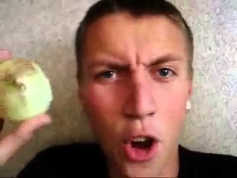 Зачем нужен нулевой лад Зачем нужен нулевой лад