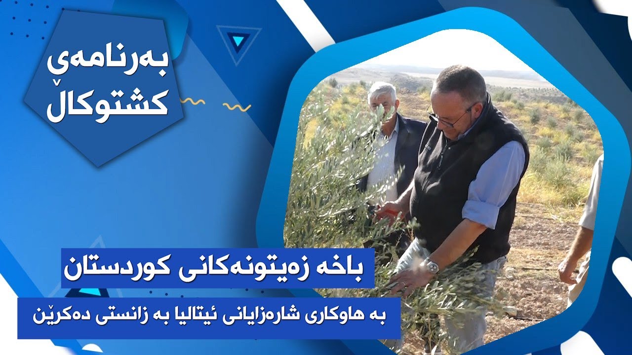 پرۆژەی کۆربس و بایەخدان بە لایەنی تەکنیکی و زانستی  باخ و پرۆژەکانی زەیتونی کوردستان