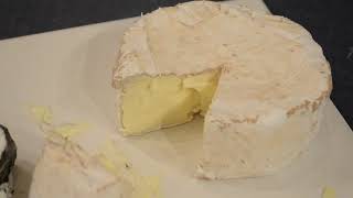 Hard Cheese vs. Soft Cheese