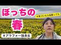 花見に誘える人、今年もいなかった