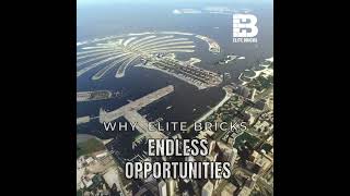 Why Elite Bricks Wealth