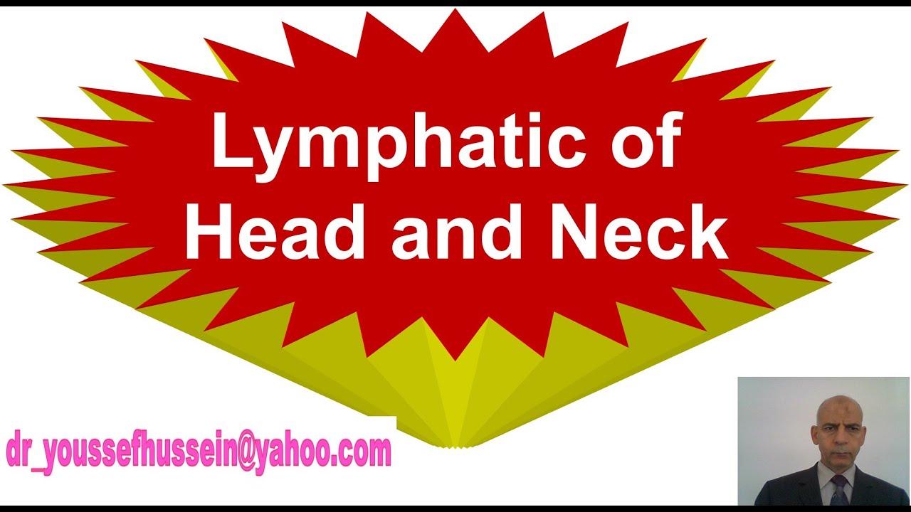 3-  Lymphatic of head and  neck