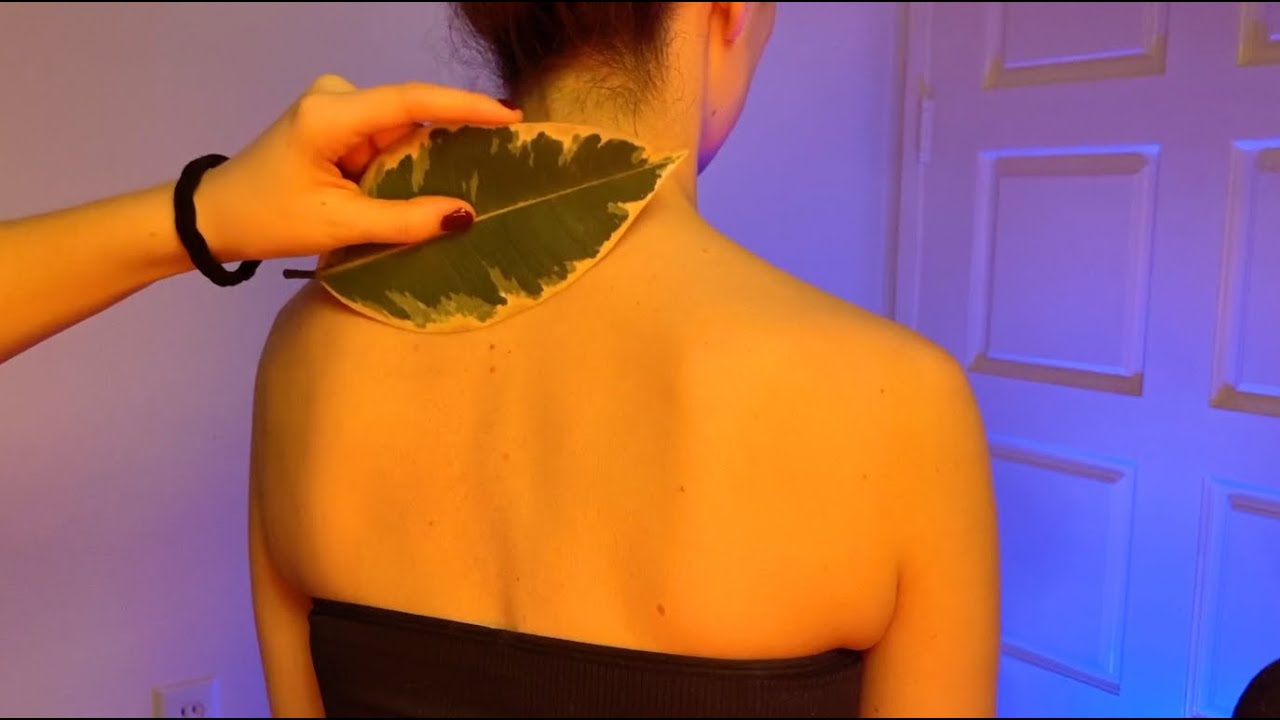 ASMR Best Scratches Ever! No Talking Real Person back scratch sounds