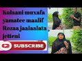 Kulaani Muxafa Yamatee Maalif Rozaa Jaalalata Jetteni Kulaani Muxafa Yamatee Maalif Rozaa Jaalalata Jetteni