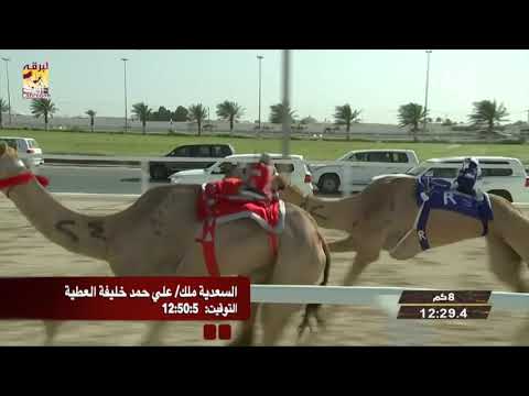 ملخص أشواط الحيل والزمول مساء مهرجان بطولة كأس آسيا ٢٤ ٤ ٢٠١٩