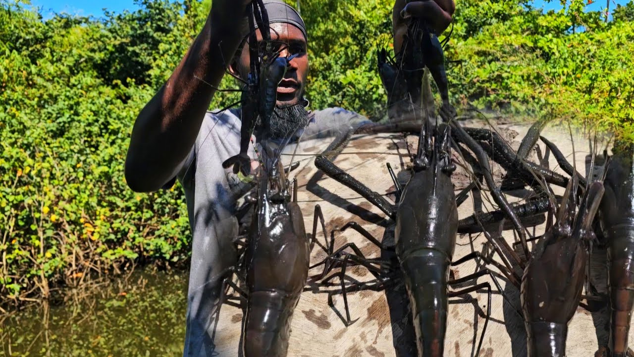 Do you guys know what's a long joint? Fish pot reset