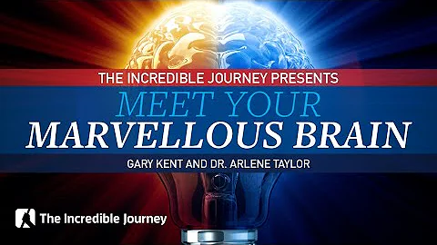 Meet Your Marvellous Brain  with Gary Kent and Arl...