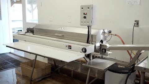 Power Scrub Egg Washer the automatic egg washing machine