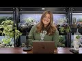 What Do You Feed Your Chickens? // When Do You Stop Weekly Fertilizer? // Recap 🌿