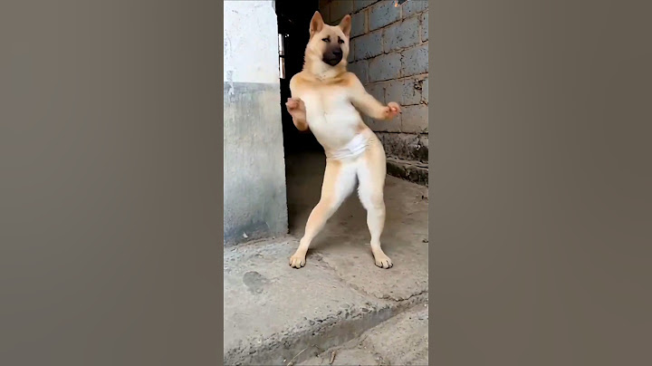 Dog khaega to yah dance Karke dikha 🤭#dog #shorts