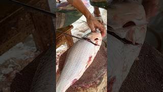 Katla Fish Cutting 🔥 Amazing Knife Skills #shorts