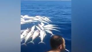 صيد السمك بالمتفجرات .في ليبيا