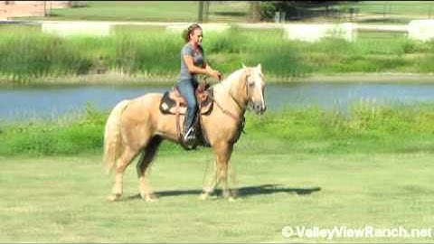 Poco Hot Bar  ***For info, price, etc., go to our website***  Valley View Ranch