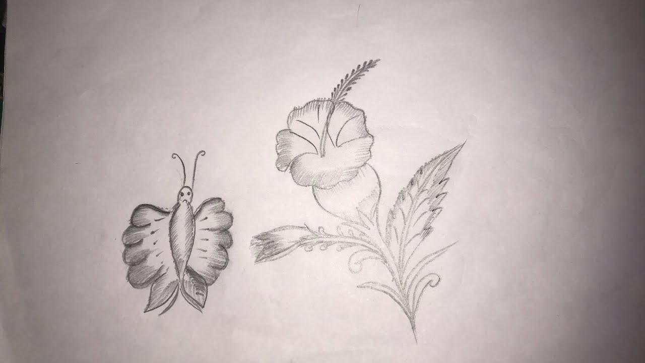 Better fly and flowers 💐 drawing ✍️ 