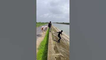 Jignesh Kaviraj 😢 new song Gujarati ❤️ song 😭 Gujarati #drama #song #prakashthakor