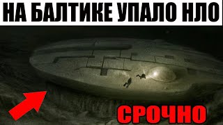 В НИХ НИКТО НЕ ВЕРИЛ !!! ДОКАЗАТЕЛЬСТВА ЗДЕСЬ!!!