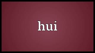 Hui Meaning