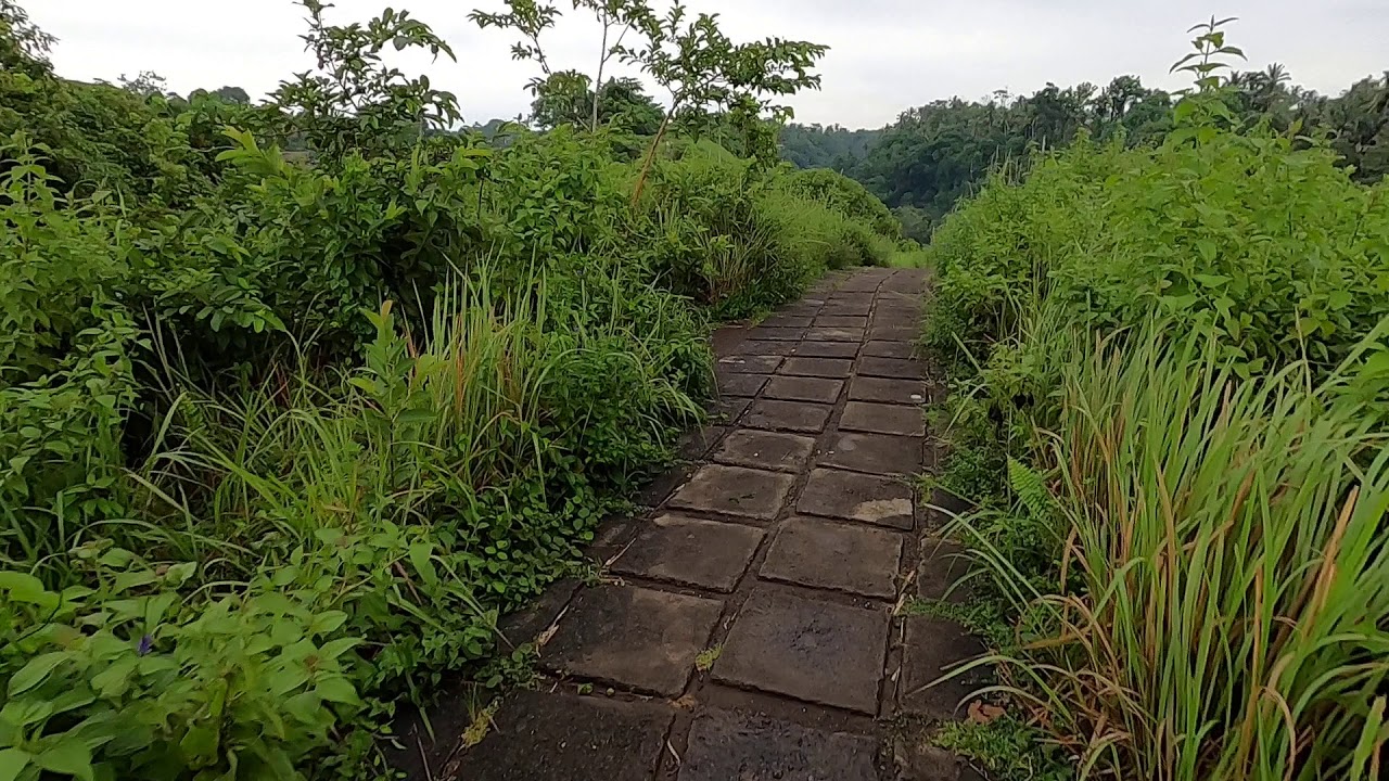 Early morning walk on Campuhan Ridge Walk, Ubud, Bali