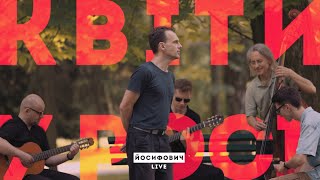 картинка: Квіти у росі - ЙОСИФОВИЧ LIVE