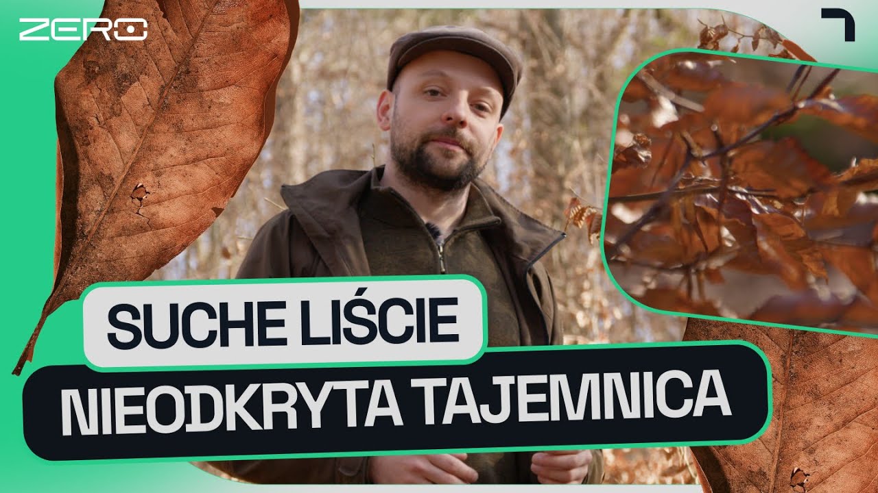 JAK DRZEWA MANIPULUJĄ PRZYRODĄ I DLACZEGO SĄ BRAKUJĄCYM OGNIWEM | GATUNEK ZERO #6