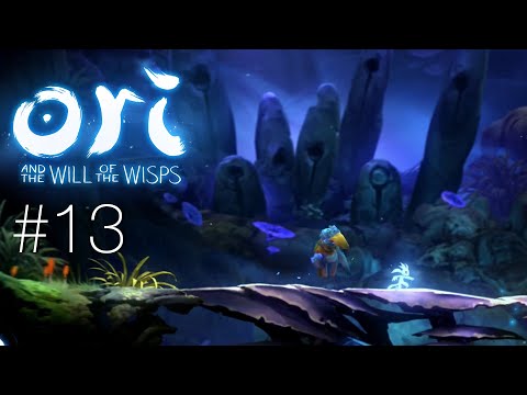 Ori = Portal | Ori and the Will of the Wisps #13