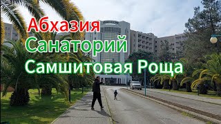 Абхазия, Санаторий Самшитовая Роща, март 2024