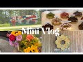 Mini Vlog (Day in my life, treating myself, and trying Korean cheese hot dogs 🌭