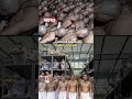 "Mega cezaevinde" azılı mahkumlara verilen yemek belli oldu