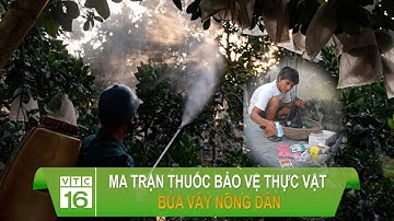 Ma trận thuốc bảo vệ thực vật bủa vây nông dân | VTC16