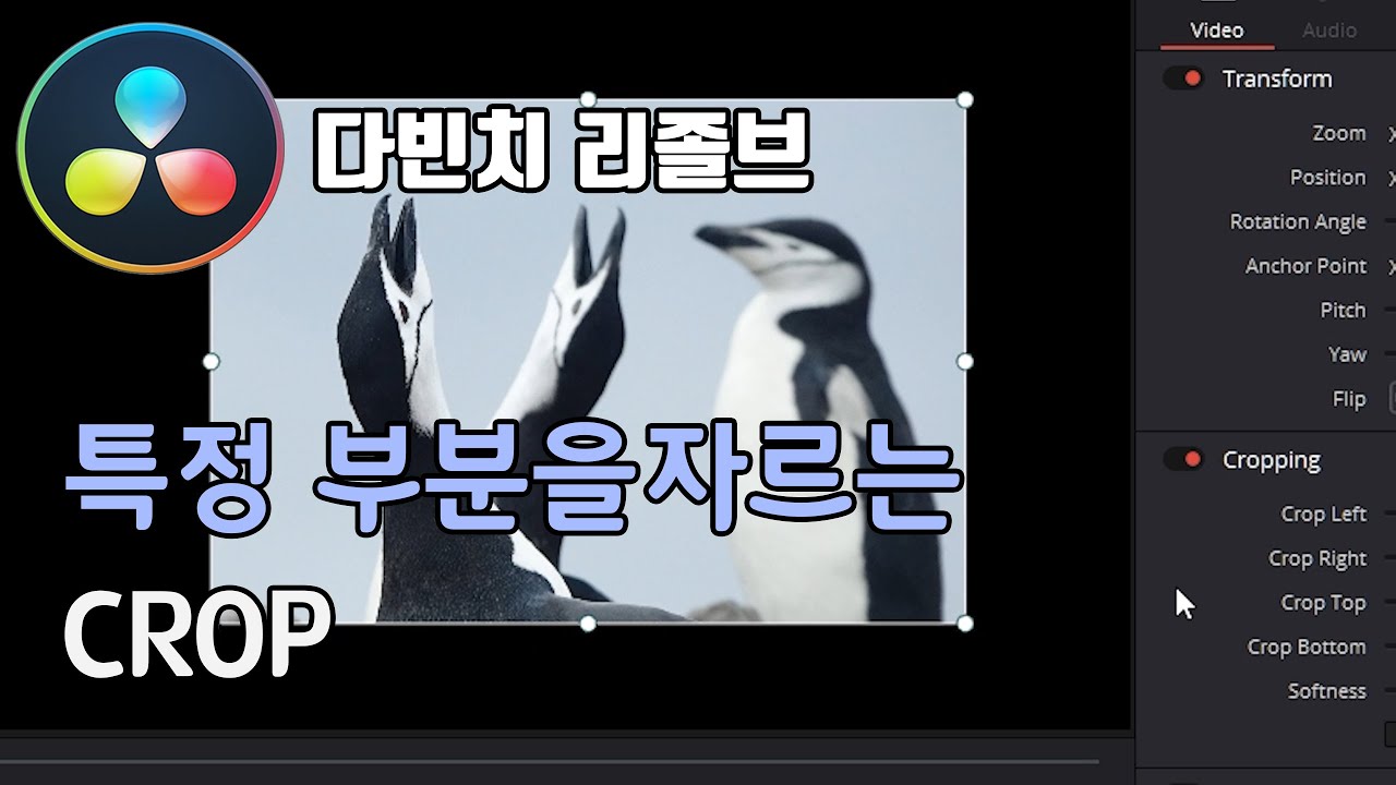 화면을 네모나게 잘라보는 기능, CROP - 무료 영상편집프로그램 다빈치 리졸브 Crop in Davinci Resolve - YouTube 화면을 네모나게 잘라보는 기능, Crop - 무료 영상편집프로그램 다빈치 리졸브 Crop In Davinci Resolve - Youtube