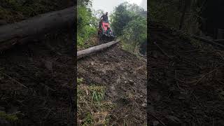 Dragging a Log Up a Muddy Hill
