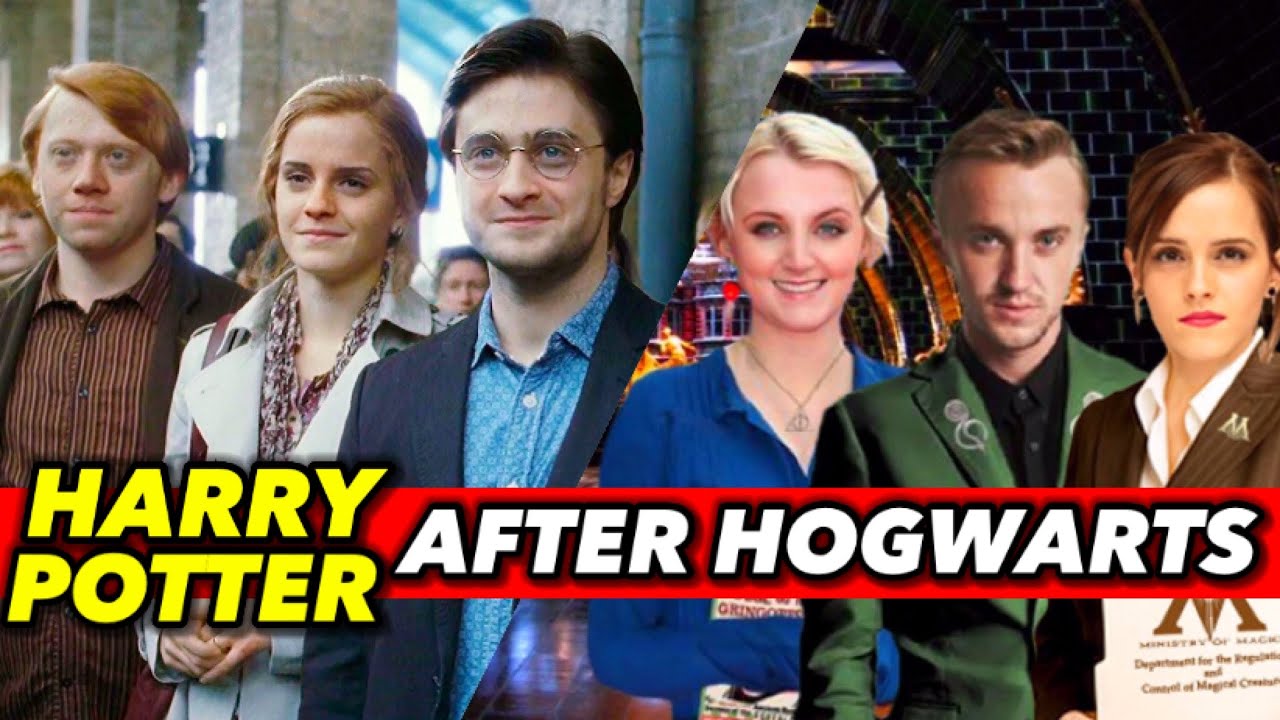 Harry Potter Characters After Hogwarts (Draco, Hermione, Ginny, Luna ...