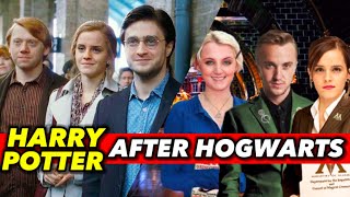 Harry Potter Characters After Hogwarts (Draco, Hermione, Ginny, Luna, Neville, George, Hagrid, Ron)