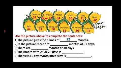 Std II (Class 2) / Maharashtra Board / Maths / Managing Information