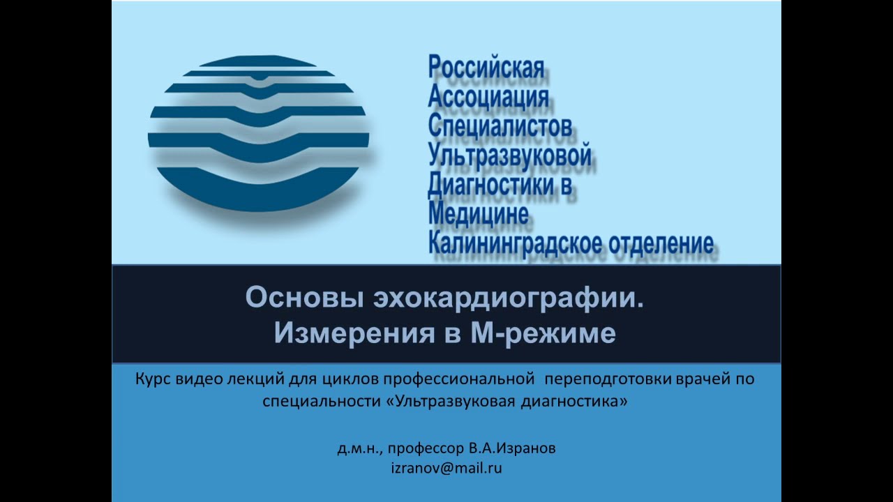 Основы эхокардиографии. Измерения в М режиме