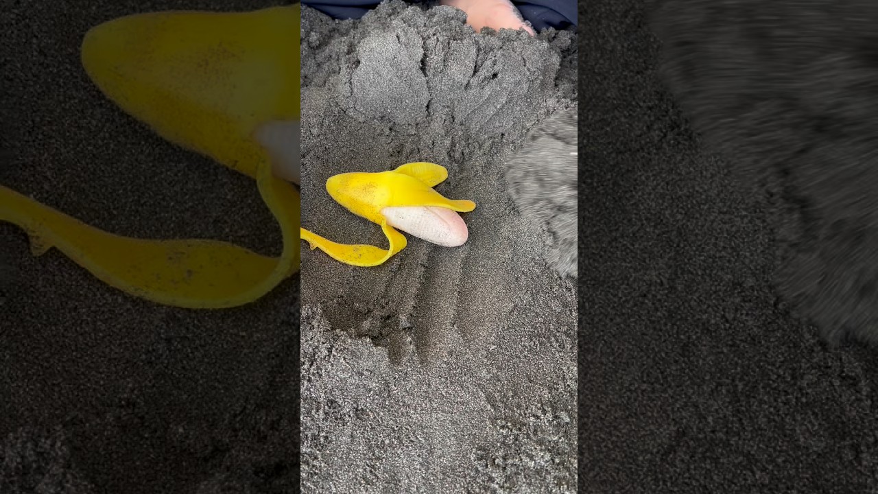 KUBUR PISANG JADI APA YA #viral #anakkita #comedy