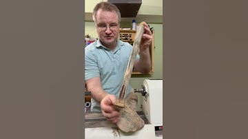 Done with a lathe tool handle #woodworking #shorts