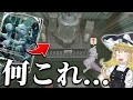 【神回】ミュウツーが誕生した場所に連れて行くと...?