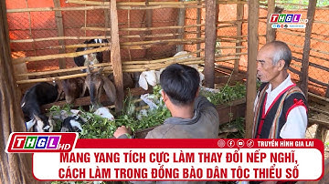 Mang Yang tích cực làm thay đổi nếp nghĩ, cách làm trong đồng bào dân tộc thiểu số